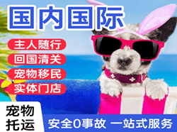 丹东航空运输国际宠物托运 【国